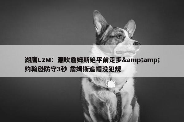 湖鹰L2M：漏吹詹姆斯绝平前走步&amp;约翰逊防守3秒 詹姆斯追帽没犯规