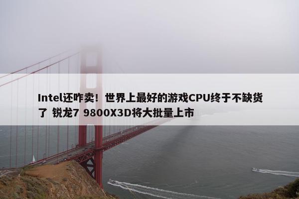 Intel还咋卖！世界上最好的游戏CPU终于不缺货了 锐龙7 9800X3D将大批量上市