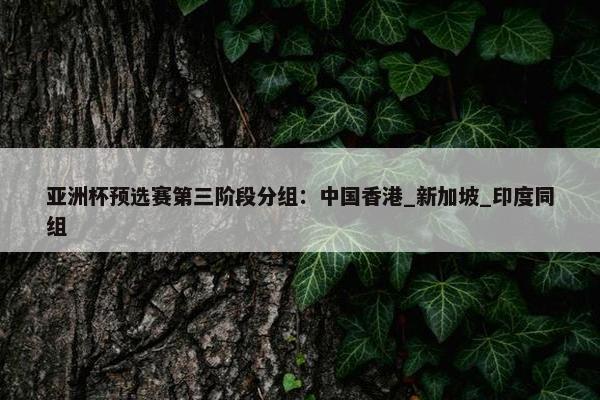 亚洲杯预选赛第三阶段分组：中国香港_新加坡_印度同组