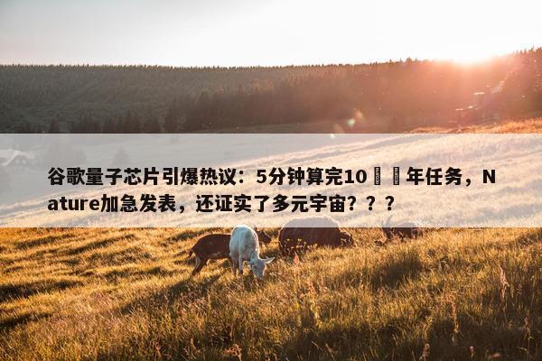 谷歌量子芯片引爆热议：5分钟算完10²⁵年任务，Nature加急发表，还证实了多元宇宙？？？