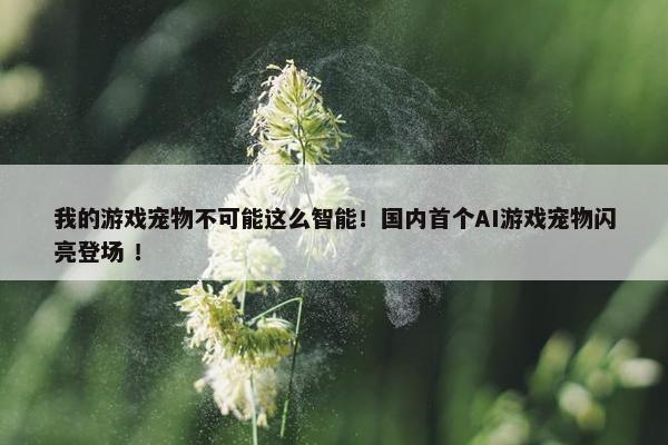 我的游戏宠物不可能这么智能！国内首个AI游戏宠物闪亮登场 ！