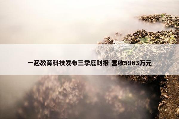 一起教育科技发布三季度财报 营收5963万元