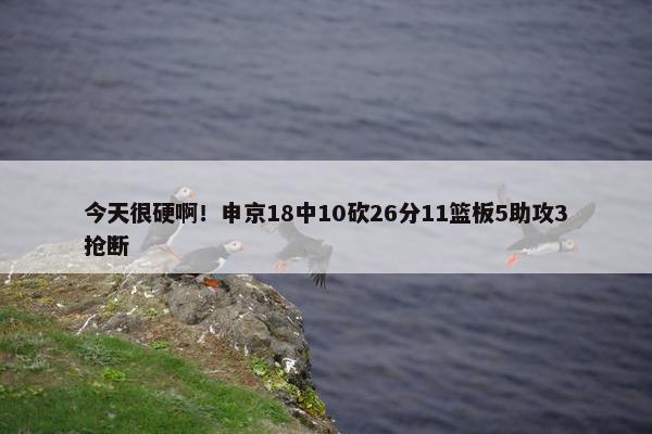 今天很硬啊！申京18中10砍26分11篮板5助攻3抢断