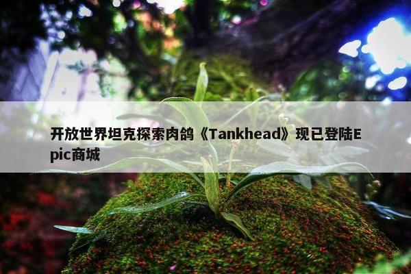 开放世界坦克探索肉鸽《Tankhead》现已登陆Epic商城