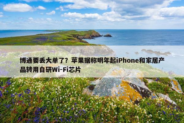 博通要丢大单了？苹果据称明年起iPhone和家居产品转用自研Wi-Fi芯片