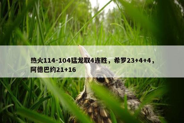 热火114-104猛龙取4连胜，希罗23+4+4，阿德巴约21+16