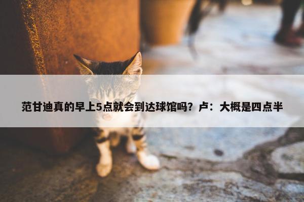 范甘迪真的早上5点就会到达球馆吗？卢：大概是四点半