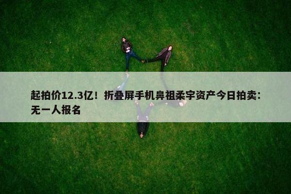 起拍价12.3亿！折叠屏手机鼻祖柔宇资产今日拍卖：无一人报名