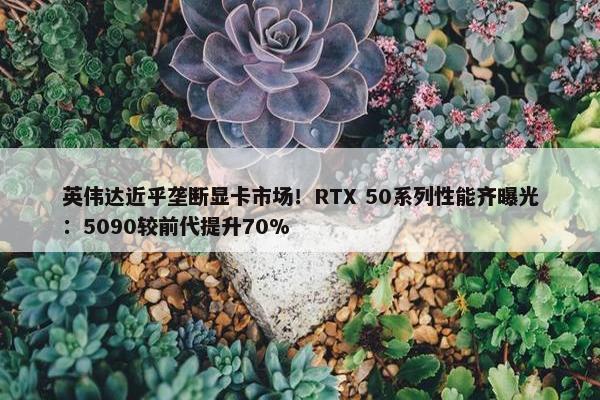 英伟达近乎垄断显卡市场！RTX 50系列性能齐曝光：5090较前代提升70%