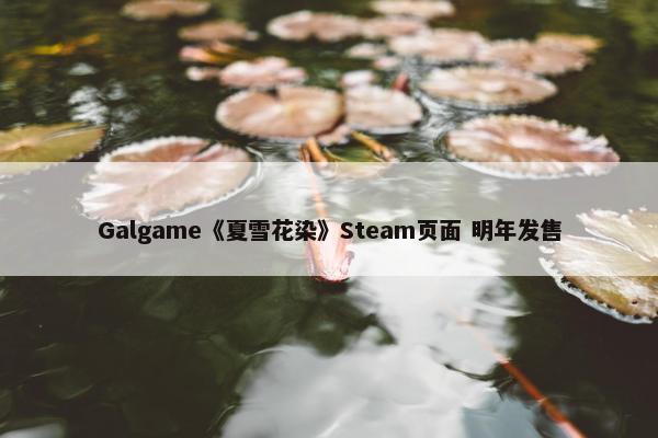 Galgame《夏雪花染》Steam页面 明年发售