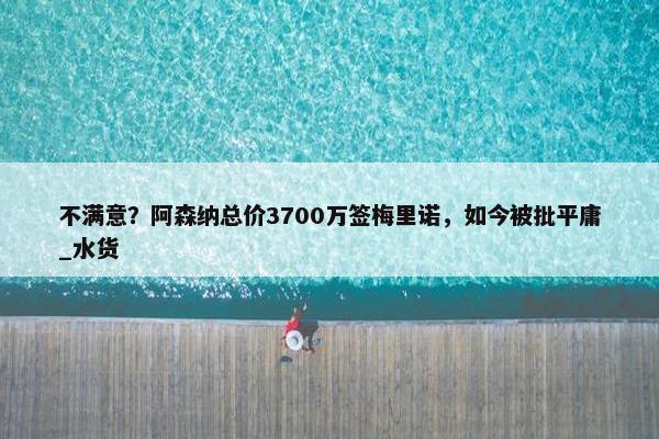 不满意？阿森纳总价3700万签梅里诺，如今被批平庸_水货