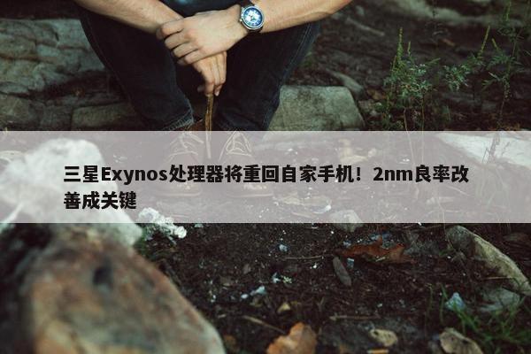 三星Exynos处理器将重回自家手机！2nm良率改善成关键