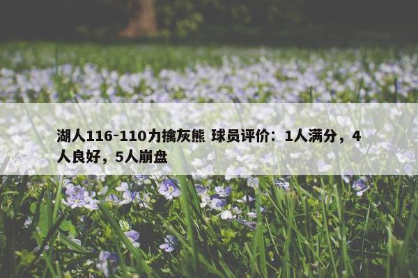 湖人116-110力擒灰熊 球员评价：1人满分，4人良好，5人崩盘