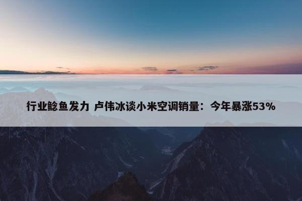 行业鲶鱼发力 卢伟冰谈小米空调销量：今年暴涨53%