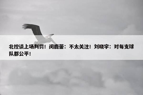 北控谈上场判罚！闵鹿蕾：不太关注！刘晓宇：对每支球队都公平！