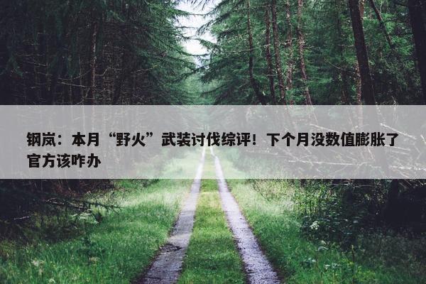 钢岚：本月“野火”武装讨伐综评！下个月没数值膨胀了官方该咋办