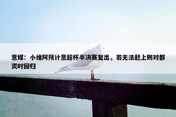 意媒：小维阿预计意超杯半决赛复出，若无法赶上则对都灵时回归