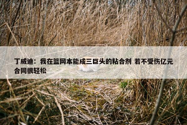 丁威迪：我在篮网本能成三巨头的粘合剂 若不受伤亿元合同很轻松