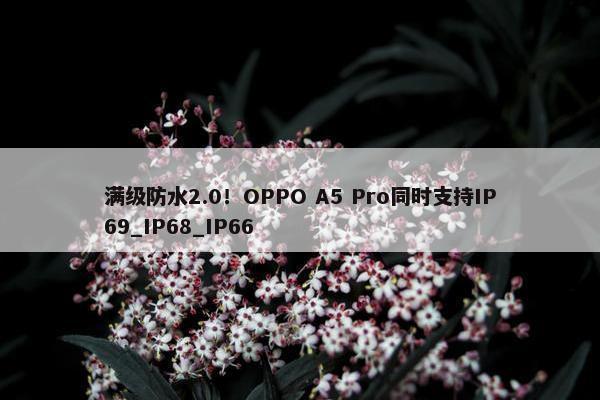 满级防水2.0！OPPO A5 Pro同时支持IP69_IP68_IP66