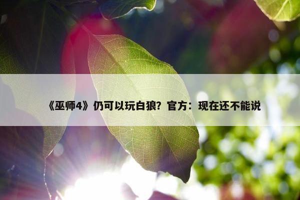 《巫师4》仍可以玩白狼？官方：现在还不能说