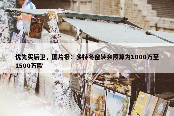 优先买后卫，图片报：多特冬窗转会预算为1000万至1500万欧