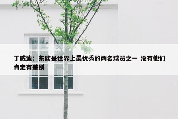 丁威迪：东欧是世界上最优秀的两名球员之一 没有他们肯定有差别