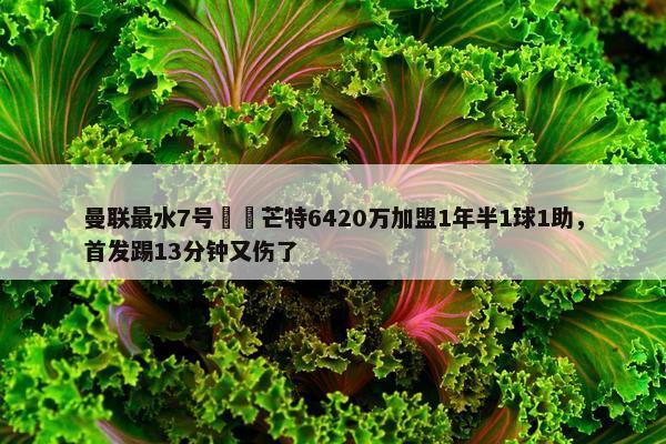 曼联最水7号⁉️芒特6420万加盟1年半1球1助，首发踢13分钟又伤了