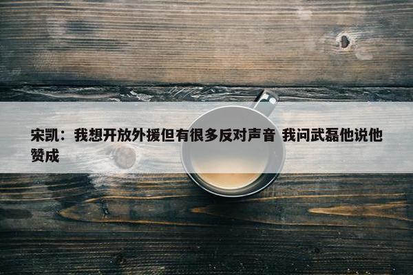 宋凯：我想开放外援但有很多反对声音 我问武磊他说他赞成