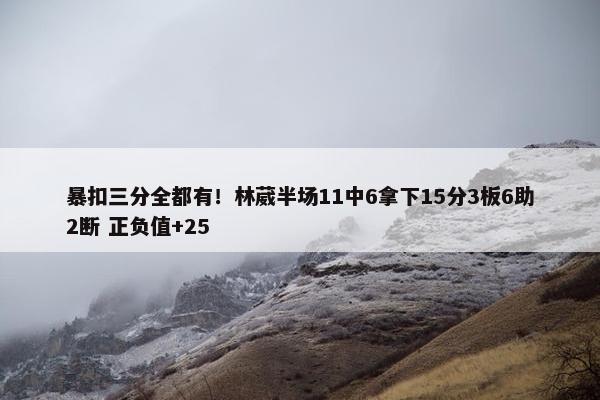 暴扣三分全都有！林葳半场11中6拿下15分3板6助2断 正负值+25