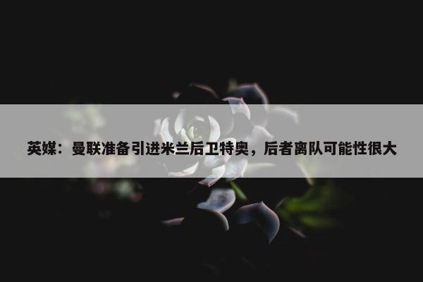 英媒：曼联准备引进米兰后卫特奥，后者离队可能性很大