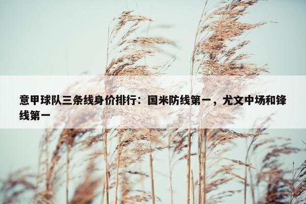 意甲球队三条线身价排行：国米防线第一，尤文中场和锋线第一