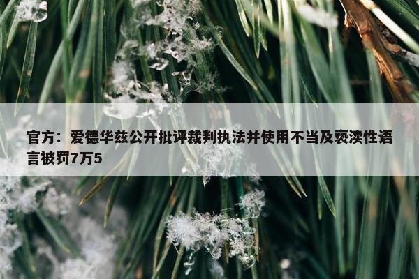 官方：爱德华兹公开批评裁判执法并使用不当及亵渎性语言被罚7万5