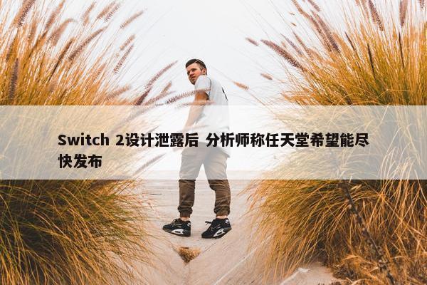 Switch 2设计泄露后 分析师称任天堂希望能尽快发布