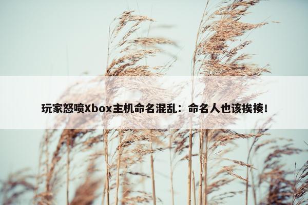 玩家怒喷Xbox主机命名混乱：命名人也该挨揍！