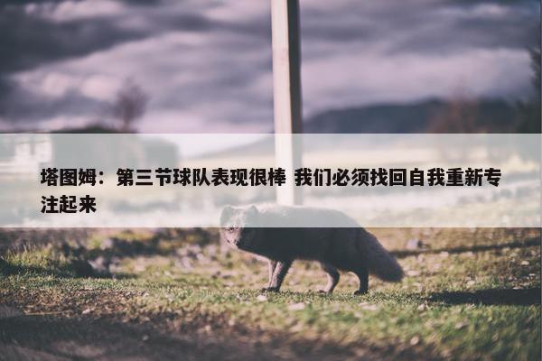 塔图姆：第三节球队表现很棒 我们必须找回自我重新专注起来