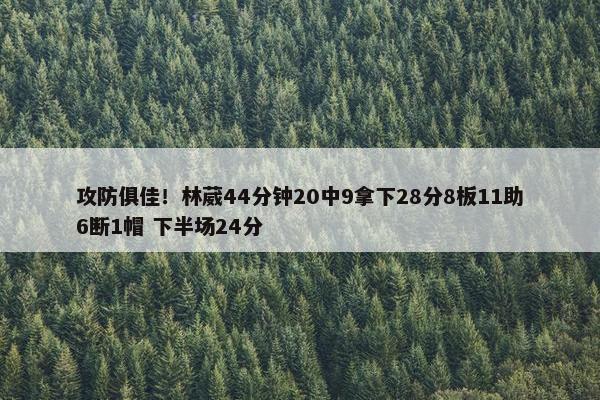 攻防俱佳！林葳44分钟20中9拿下28分8板11助6断1帽 下半场24分