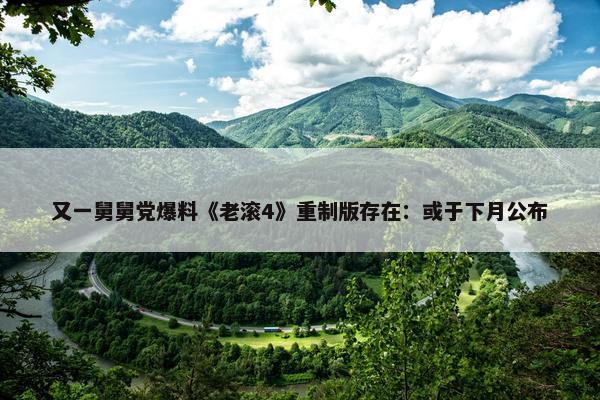 又一舅舅党爆料《老滚4》重制版存在：或于下月公布