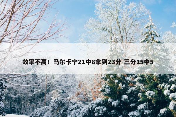 效率不高！马尔卡宁21中8拿到23分 三分15中5