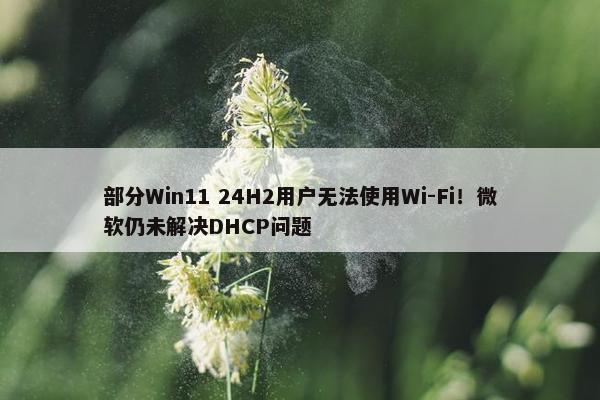 部分Win11 24H2用户无法使用Wi-Fi！微软仍未解决DHCP问题