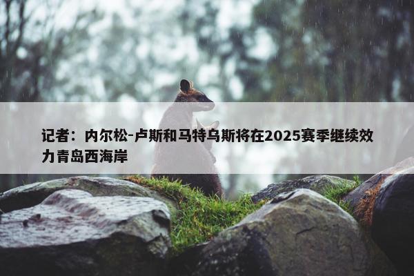 记者：内尔松-卢斯和马特乌斯将在2025赛季继续效力青岛西海岸