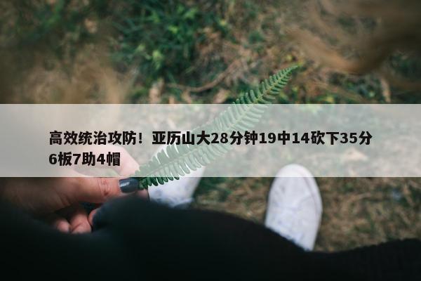 高效统治攻防！亚历山大28分钟19中14砍下35分6板7助4帽