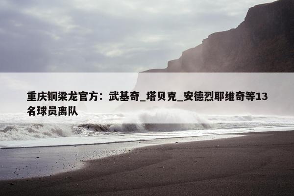 重庆铜梁龙官方：武基奇_塔贝克_安德烈耶维奇等13名球员离队