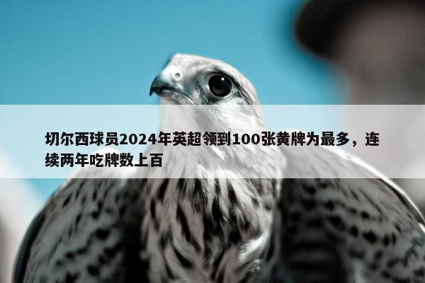 切尔西球员2024年英超领到100张黄牌为最多，连续两年吃牌数上百