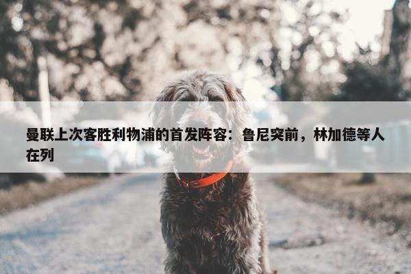 曼联上次客胜利物浦的首发阵容：鲁尼突前，林加德等人在列