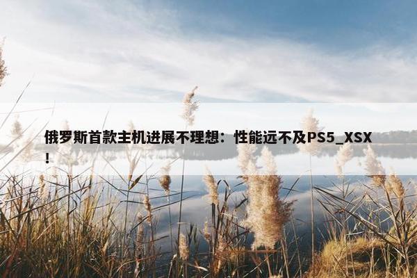 俄罗斯首款主机进展不理想：性能远不及PS5_XSX！