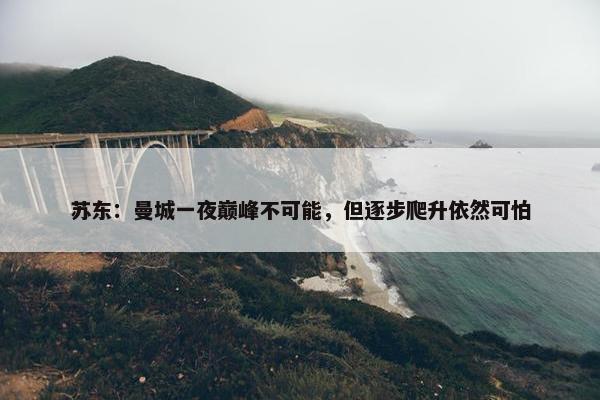 苏东：曼城一夜巅峰不可能，但逐步爬升依然可怕