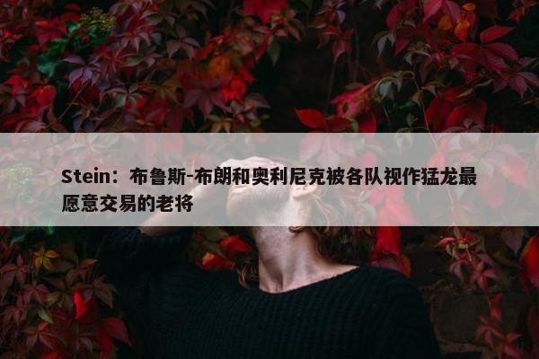 Stein：布鲁斯-布朗和奥利尼克被各队视作猛龙最愿意交易的老将