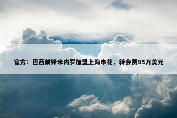 官方：巴西前锋米内罗加盟上海申花，转会费95万美元