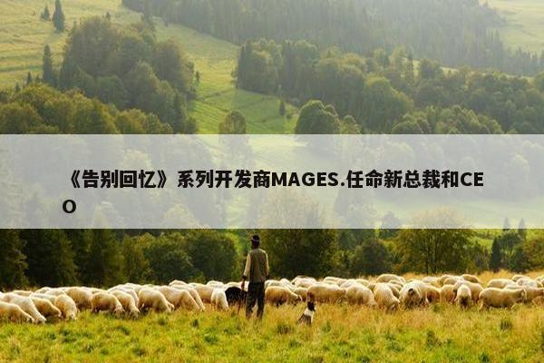 《告别回忆》系列开发商MAGES.任命新总裁和CEO