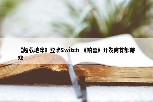 《超载地牢》登陆Switch 《帕鲁》开发商首部游戏